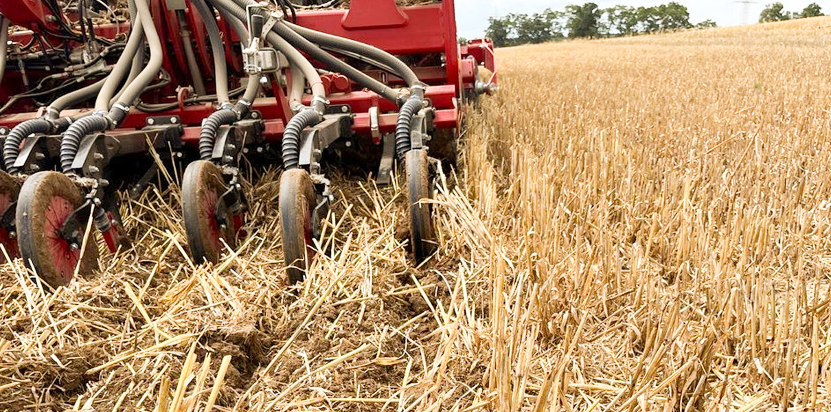 LandwirtschaftsbetriebStefanBernicke